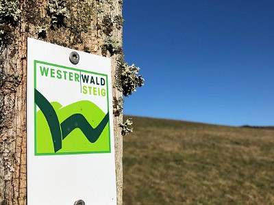 Westerwaldsteig 2019