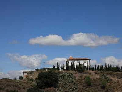 IMG 0324