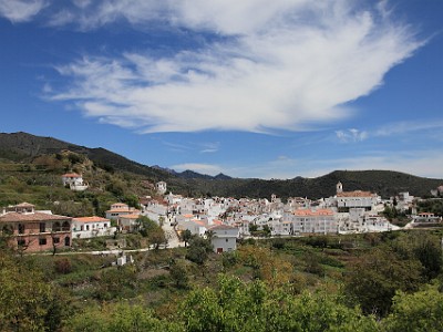 IMG 0415