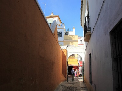 IMG 0569