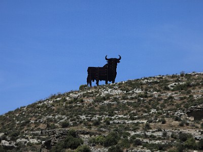 IMG 0916