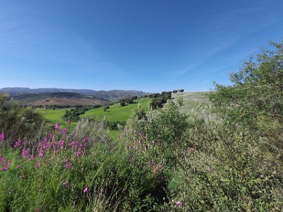 P000168