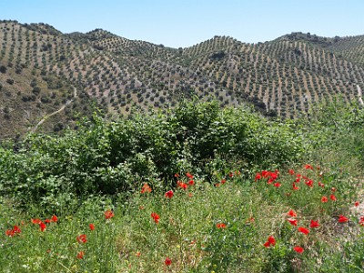 P000472