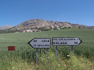 P000484