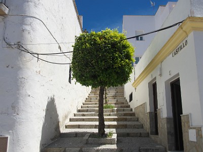 P000169