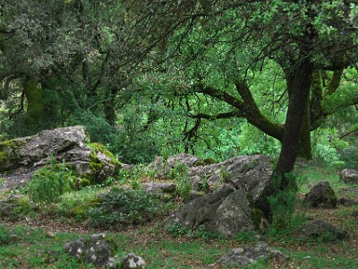 P000205