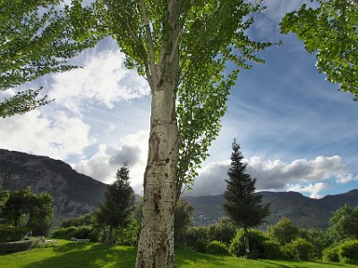 P000230