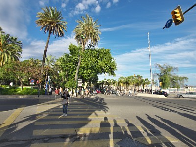 P000273
