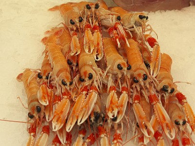 P000284
