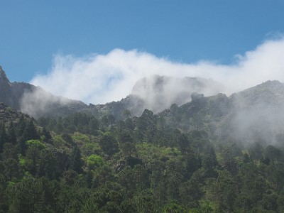 P000194