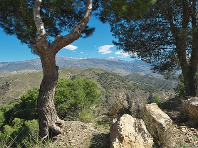 P000061