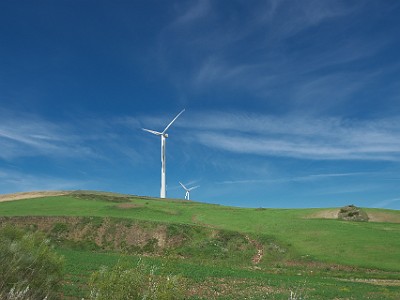 P000083