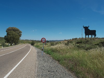P000311