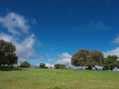 P000325