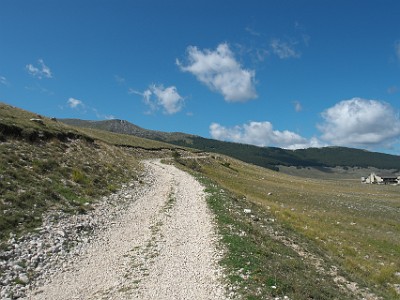 P000219