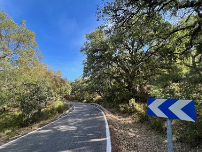 P000039