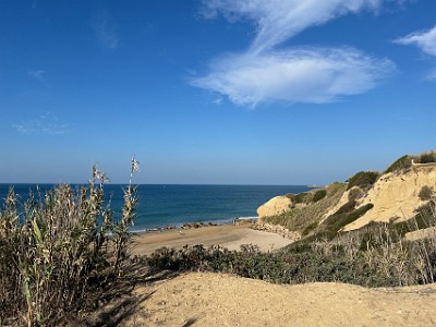 P000167