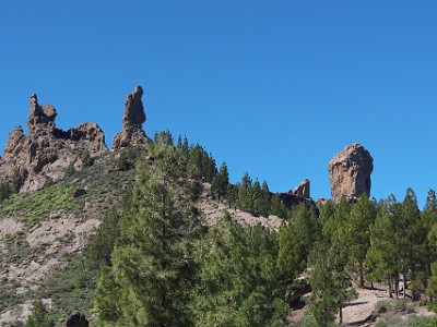 P000323