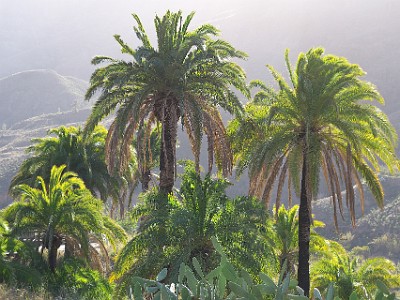 P000374