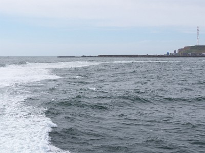 P000116
