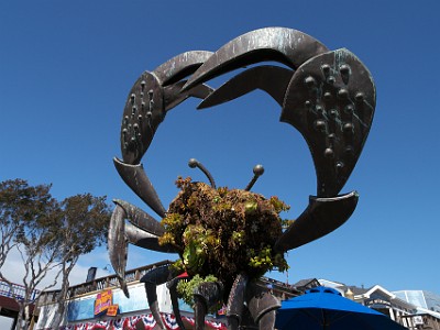 IMG 00070