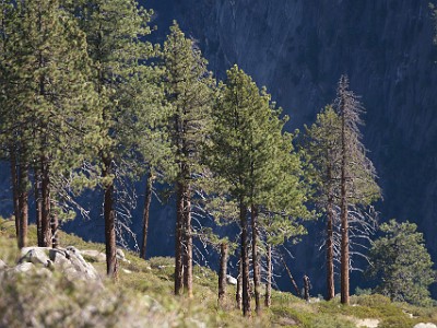 IMG 00165