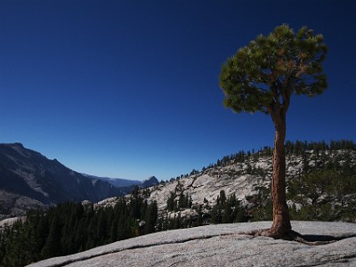 IMG 00211