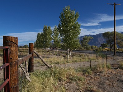 IMG 00273