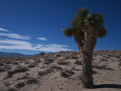 IMG 00282