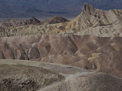 IMG 00299