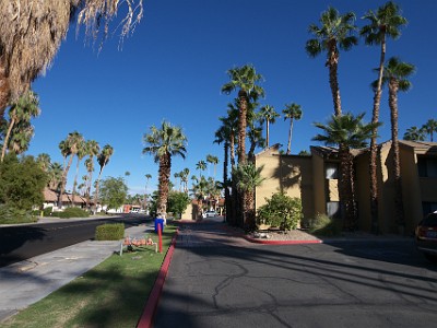 IMG 00447