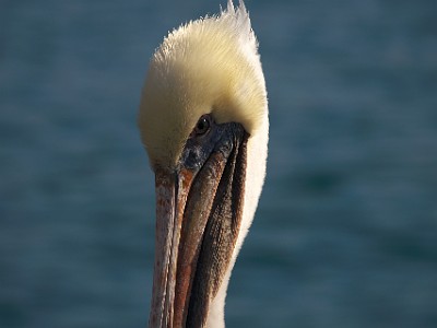 IMG 00623