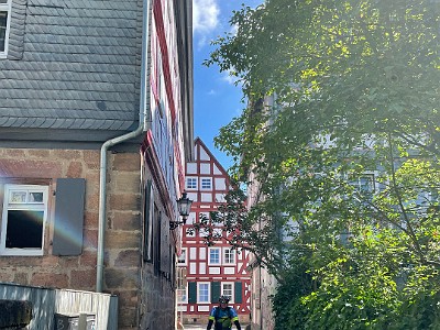 IMG 0699