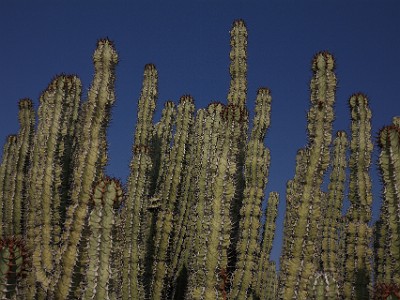 IMG 6939