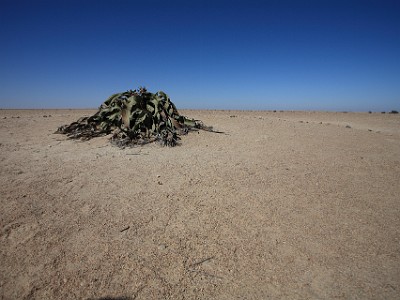 IMG 7179