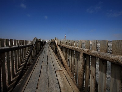 IMG 7466