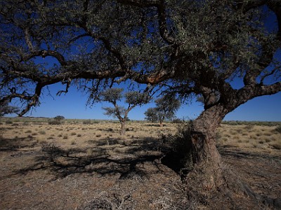 IMG 7786