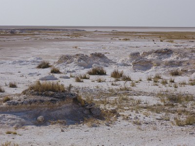 P000246