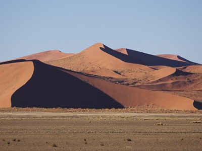 P000537