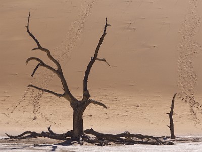 P000565