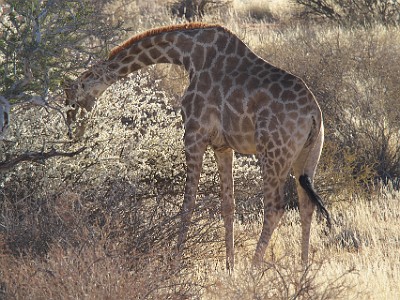 P000048
