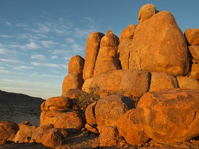 P000115