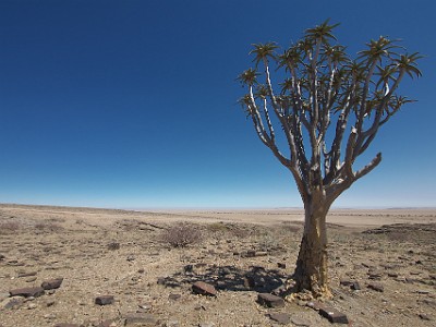 P000305