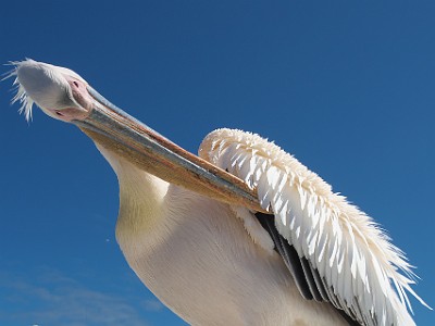 P000364