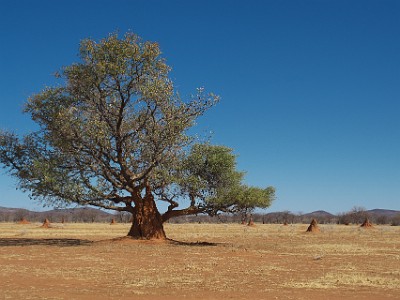 P000462