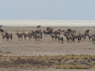 P000573