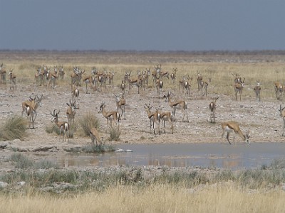 P000637