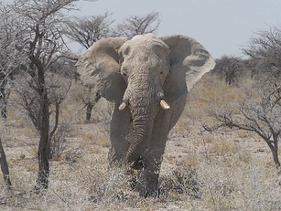 P000657