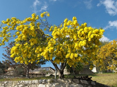 P000120