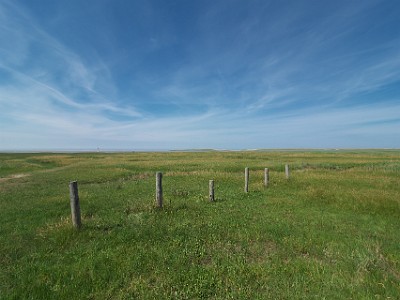 P000233